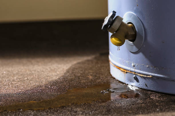 Best Water damage restoration near me  in Hwatha, IA