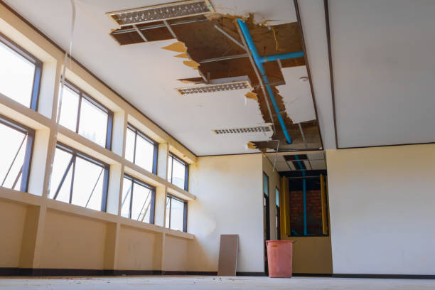 Hwatha, IA Water damage restoration Pros